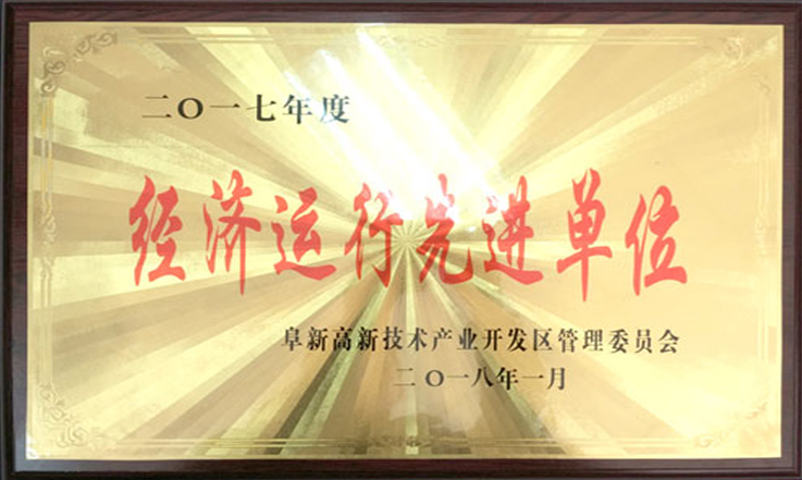 PA视讯官方集团股份荣获“2017年度经济运行先进单位”称号