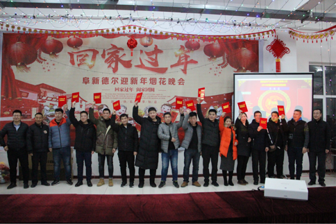 喜迎新春——暨阜新PA视讯官方集团2019除夕烟花晚会(图4)