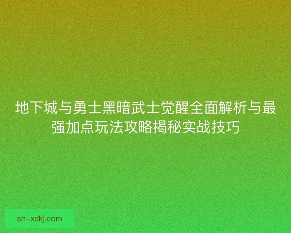 地下城与勇士黑暗武士觉醒全面解析与最强加点玩法攻略揭秘实战技巧
