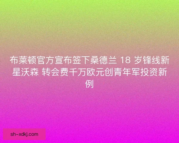 布莱顿官方宣布签下桑德兰 18 岁锋线新星沃森 转会费千万欧元创青年军投资新例