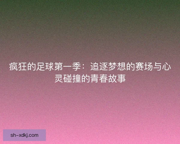 疯狂的足球第一季：追逐梦想的赛场与心灵碰撞的青春故事