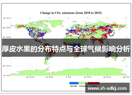 厚皮水果的分布特点与全球气候影响分析