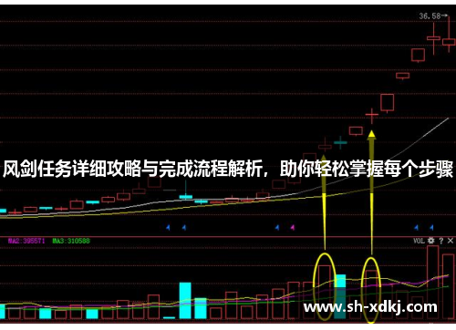 风剑任务详细攻略与完成流程解析，助你轻松掌握每个步骤