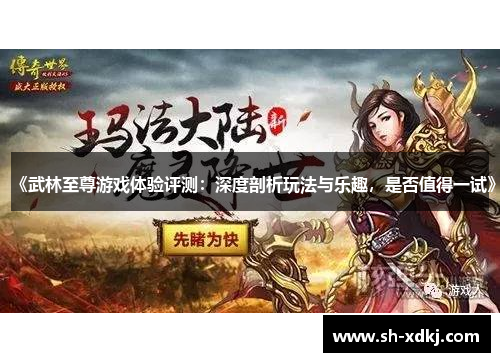 《武林至尊游戏体验评测：深度剖析玩法与乐趣，是否值得一试》